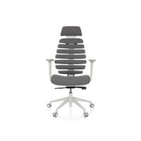 Pisarniški Stol Ergo Line W, Siva - temno siva/bela, Moderno, umetna masa/tekstil (67/116 - 133/65cm) - MID.YOU