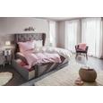 Falipolc Armerina -sb- - (80/3/9cm) Falipolc Armerina -sb- - (80/3/9cm)