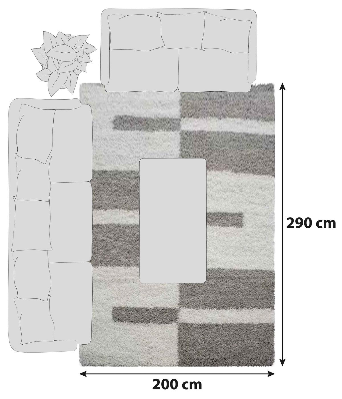 Hochflorteppich Gala Beige ca. 200x290cm - Beige, Design, Textil (200/290cm) - Novel