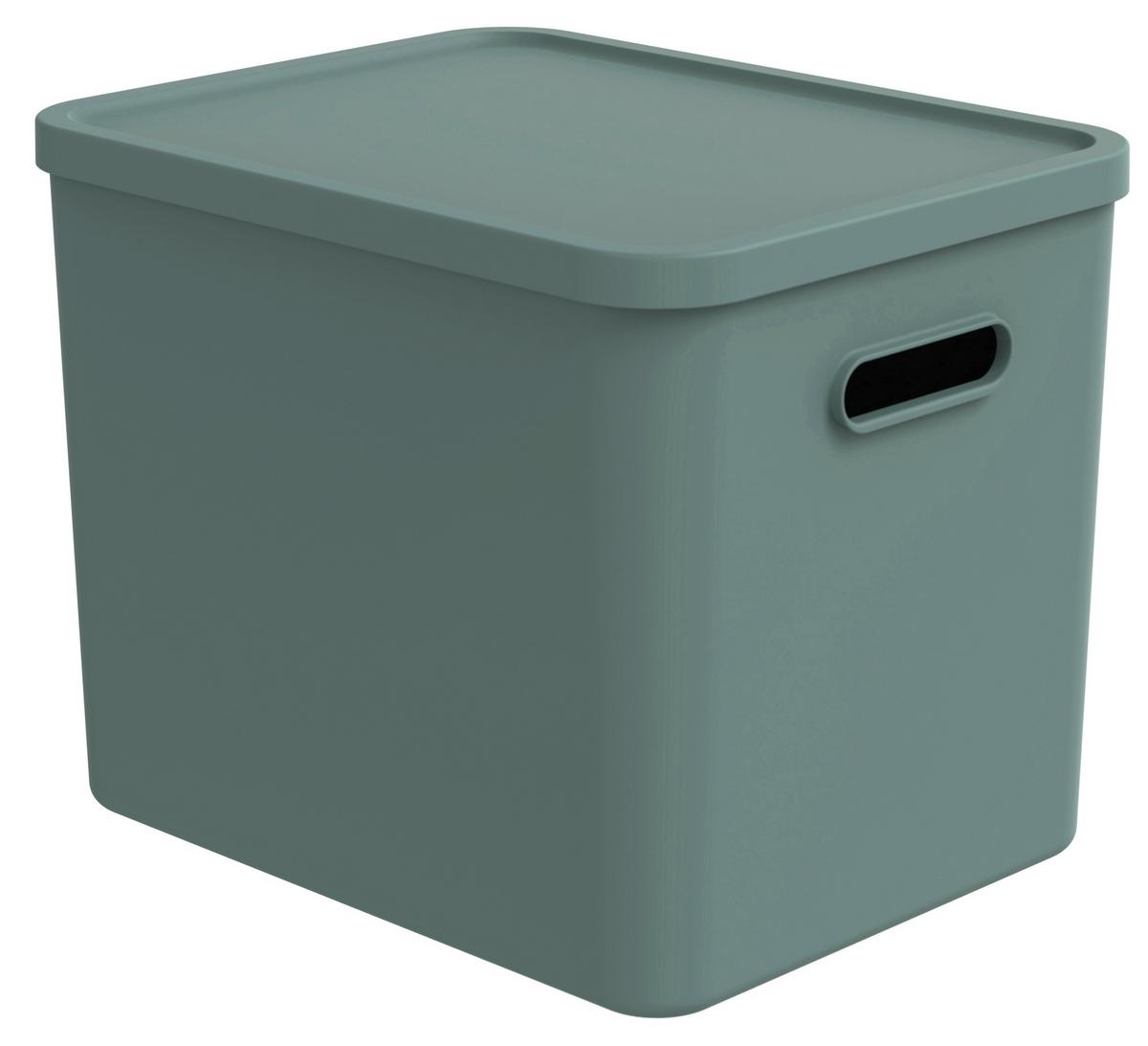 POJEMNIK DO PRZECHOWYWANIA 1063105092 - miętowy, Konventionell, tworzywo sztuczne (37/29/29.5cm) - Rotho
