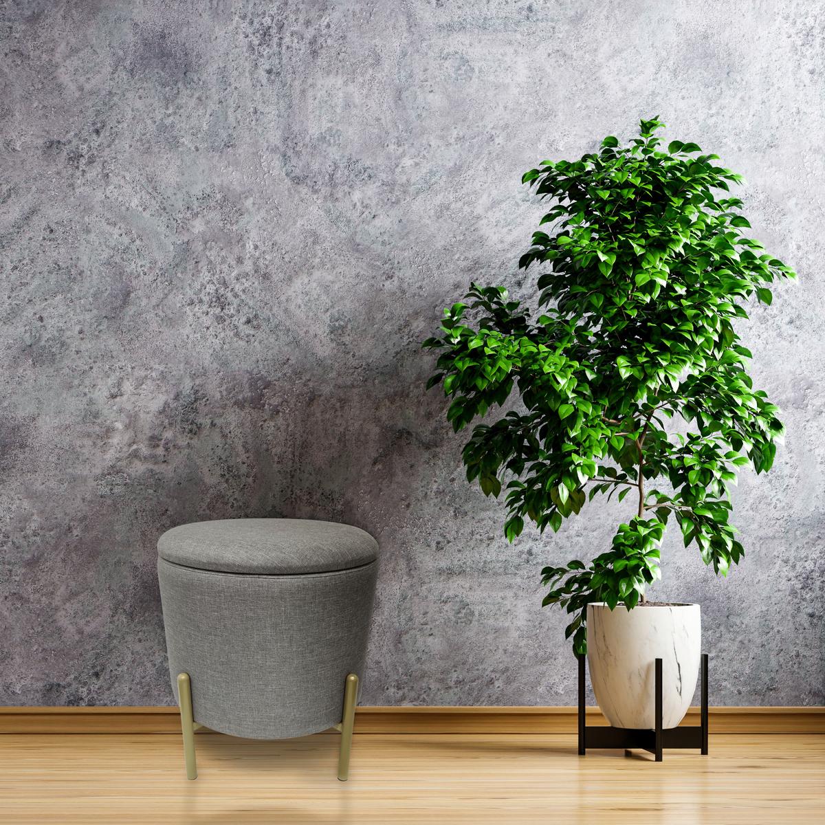 Hocker Logan Grau Samt mit Stauraum - Goldfarben/Grau, Design, Textil/Metall (36/40/36cm) - Echtwerk