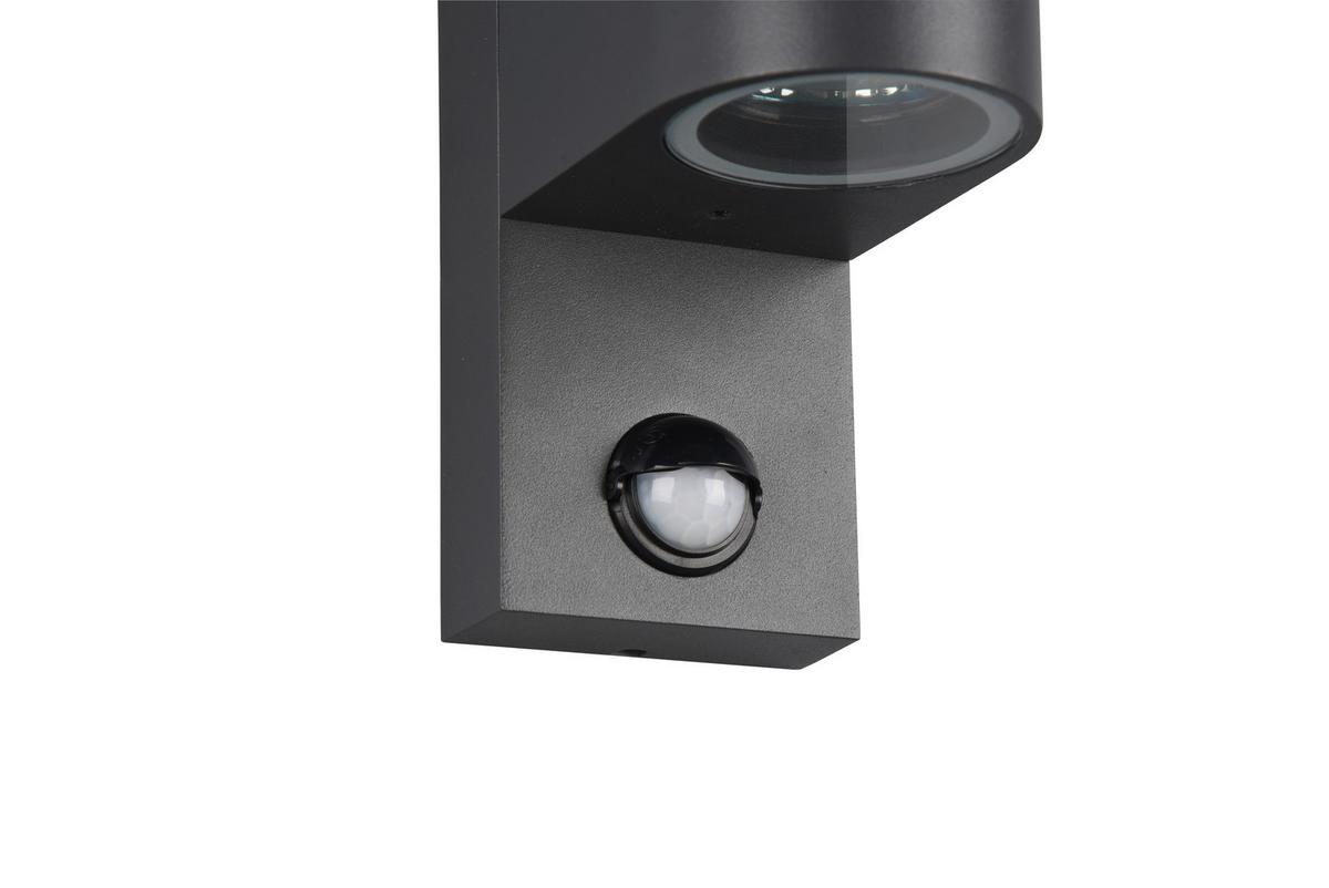 Außenwandleuchte Roya Anthrazit max. 35 Watt - Anthrazit, Basics, Metall (7/22/11,8cm) - Trio Leuchten