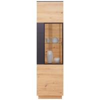 Vitrina Tonale, Temno Siva, Barva Hrasta - črna/siva, Moderno, umetna masa/steklo (56/207,6/40cm) - Mömax