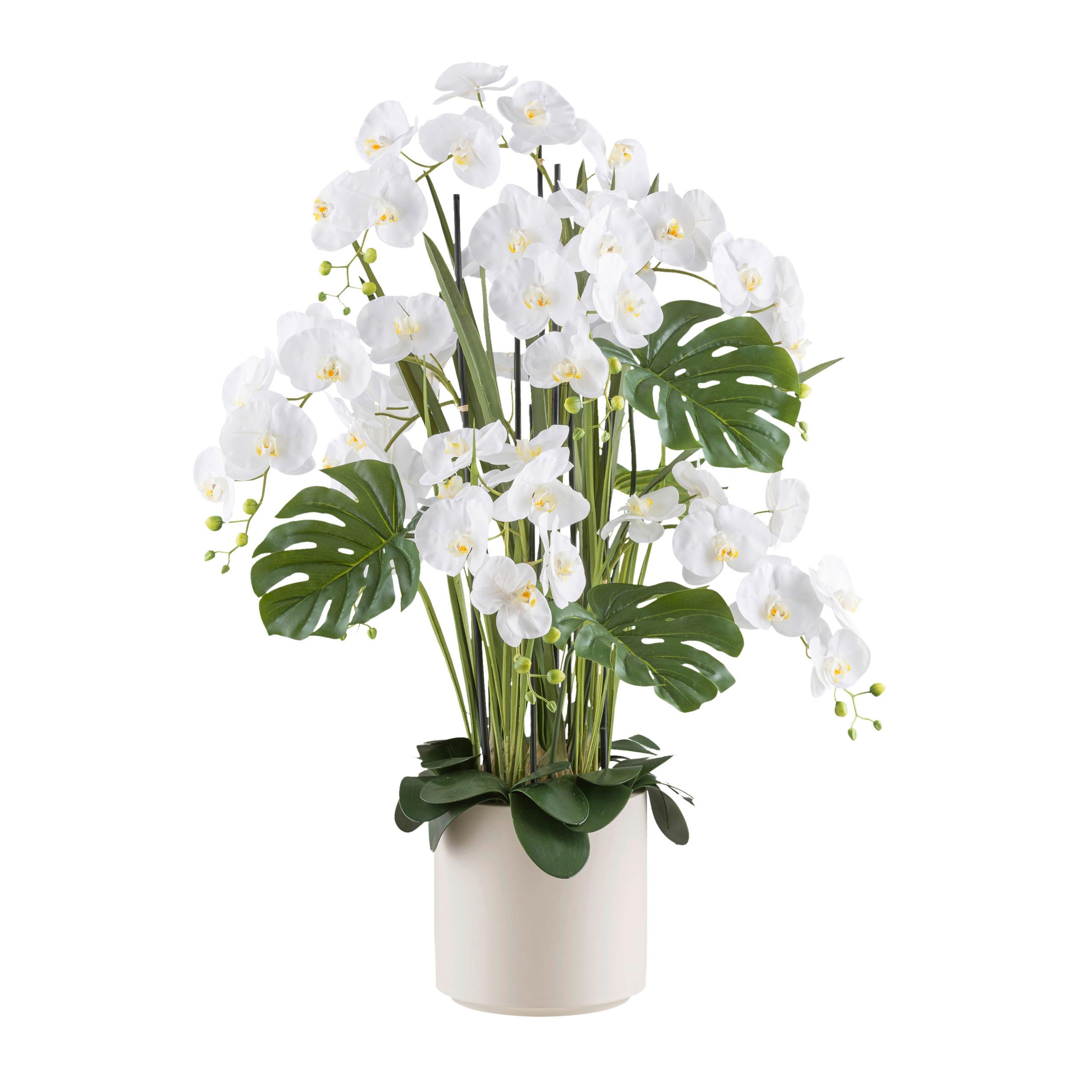 Kunstpflanze Orchideen Creme/Grün - Creme/Weiß, Design, Kunststoff (120cm)