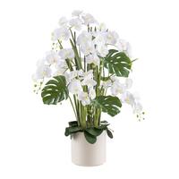 Kunstpflanze Orchideen Creme/Grün - Creme/Weiß, Design, Kunststoff (120cm)