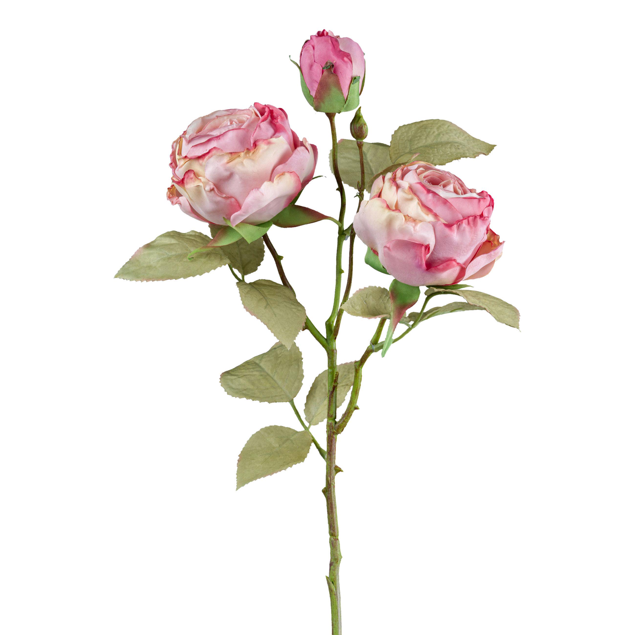 Dekozweig Vintagerose II Dunkelrosa - Dunkelrosa/Grün, KONVENTIONELL, Kunststoff (54cm) - Modern Living