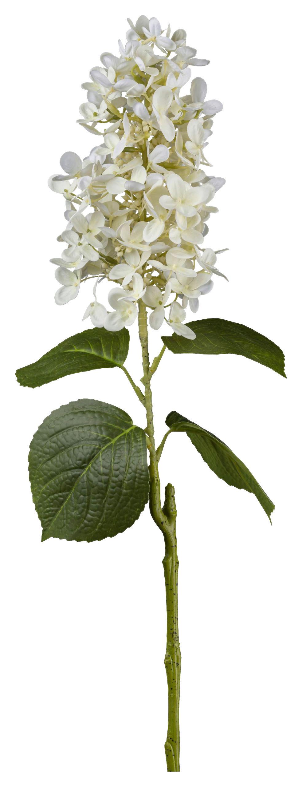 Hortensie II Weiß - Weiß/Grün, Basics, Kunststoff/Textil (74cm) - Mömax