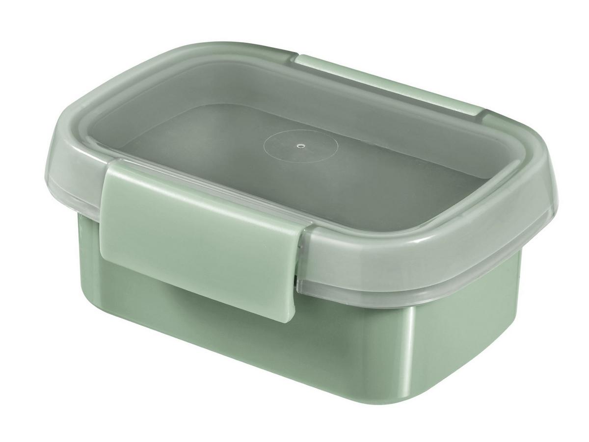 Recipient depozitare alimente Smart to go - verde, plastic (11,7/8,9/5,2cm)