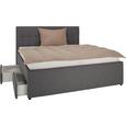 Polsterbett Grau 160x200cm - Schwarz/Grau, KONVENTIONELL, Holz/Holzwerkstoff (160/200cm) - PREMIUM LIVING
