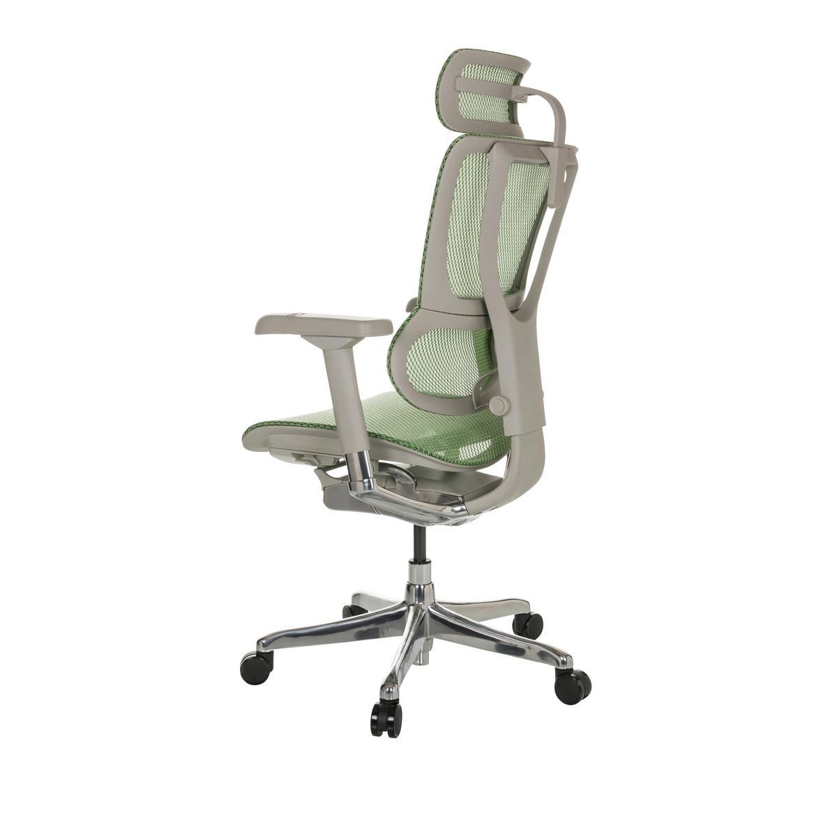Pisarniški Stol Ergohuman Slim I G, Zelena - srebrne barve/zelena, Basics, kovina/umetna masa (69/116-138/66cm) - MID.YOU