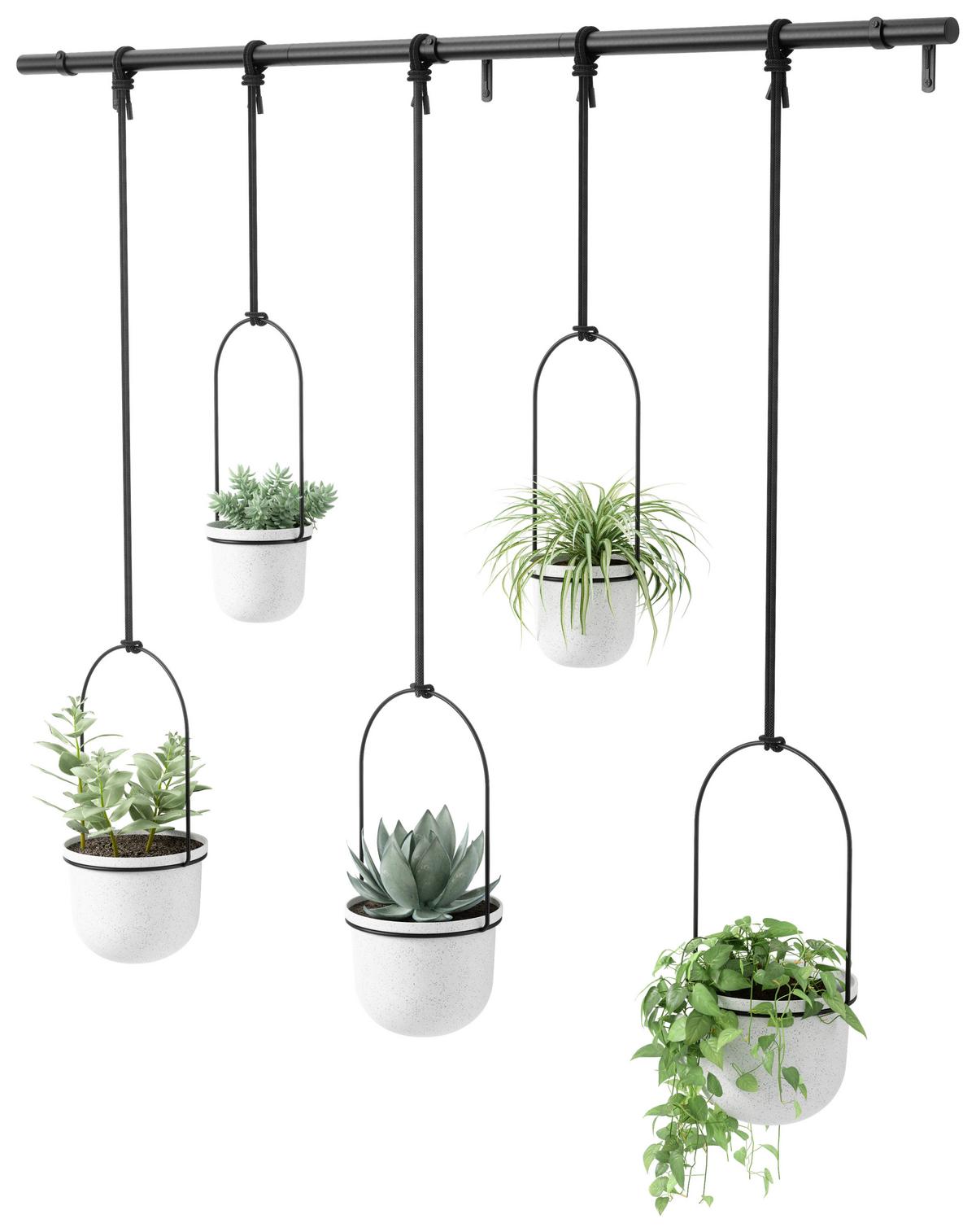 Pflanzentop Schwarz/Weiß - Schwarz/Weiß, Design, Kunststoff/Metall (18,4/94,6/137,8cm) - Umbra