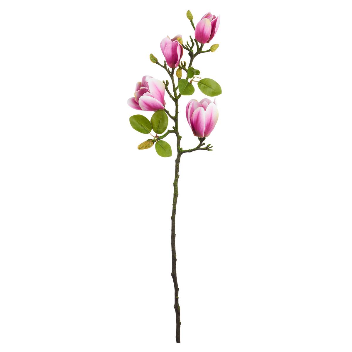 Dekozweig Magnolie I Lila/Grün - Lila/Grün, KONVENTIONELL, Kunststoff (67cm) - Mömax