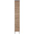 Hochschrank Eiche/Anthrazit - Chromfarben/Eichefarben, MODERN, Holzwerkstoff/Metall (30/187/31cm)
