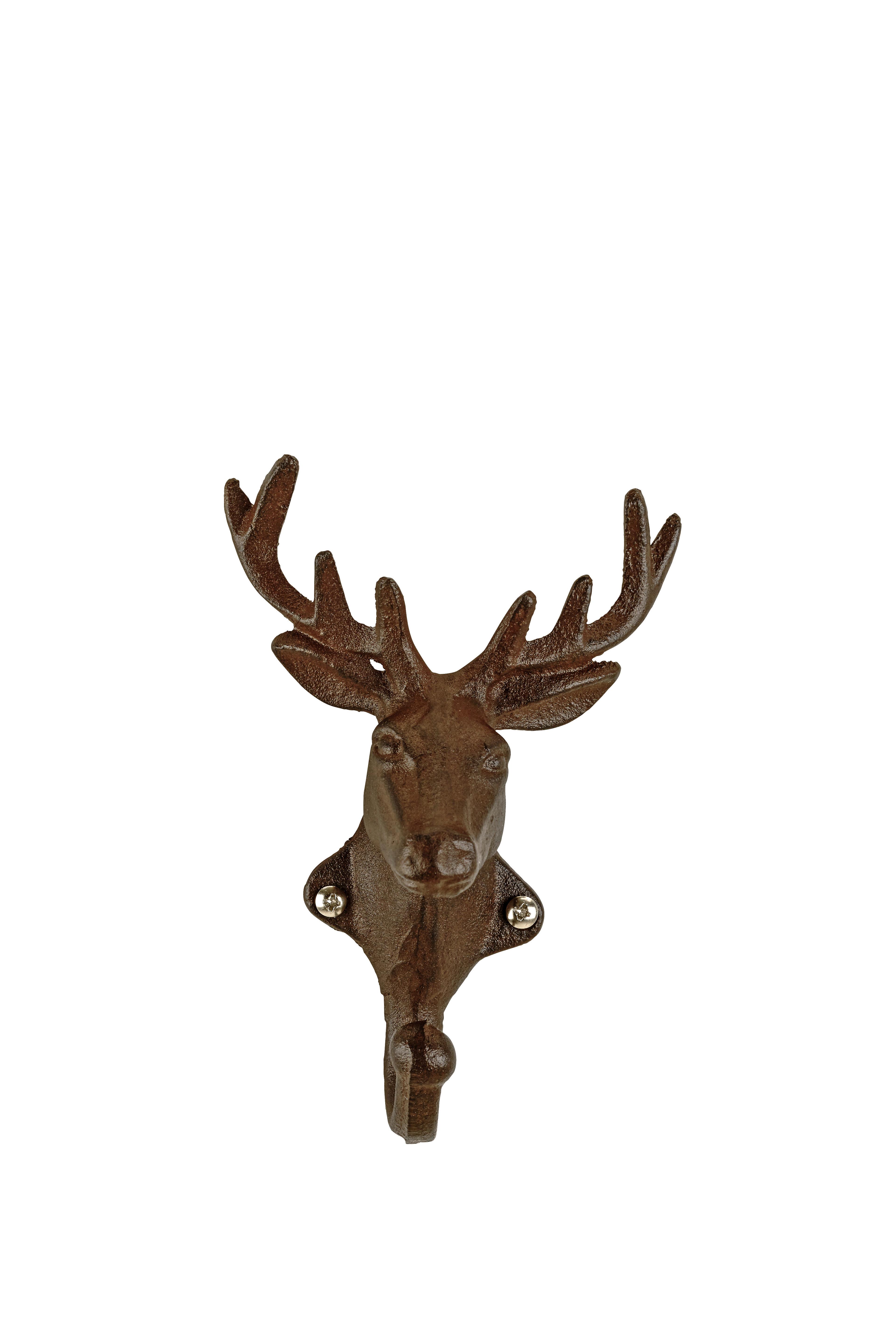 Haken Ted in Dunkelbraun - Dunkelbraun, Metall (11cm) - Modern Living