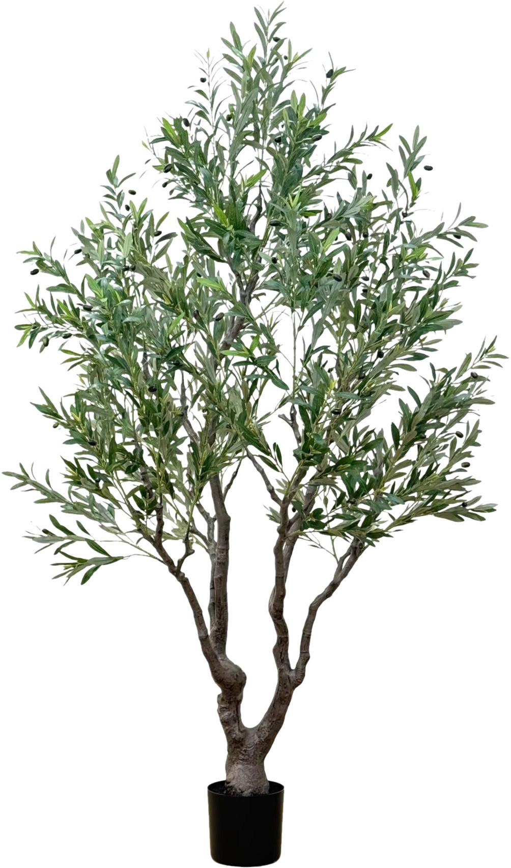 Kunstpflanze Olivenbaum Grün inkl. Topf - Olivgrün, LIFESTYLE (220cm) - Mömax