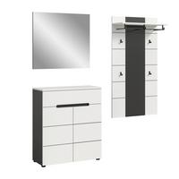 Predsoba Canu, Bela, Siva, 3-Delna - siva/bela, Design, leseni material (175/190/37cm) - Livetastic