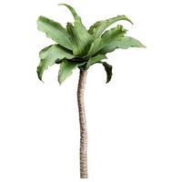 Kunstpflanze Sukkulenten Grün/Braun - Braun/Grün, Design, Kunststoff (63cm)