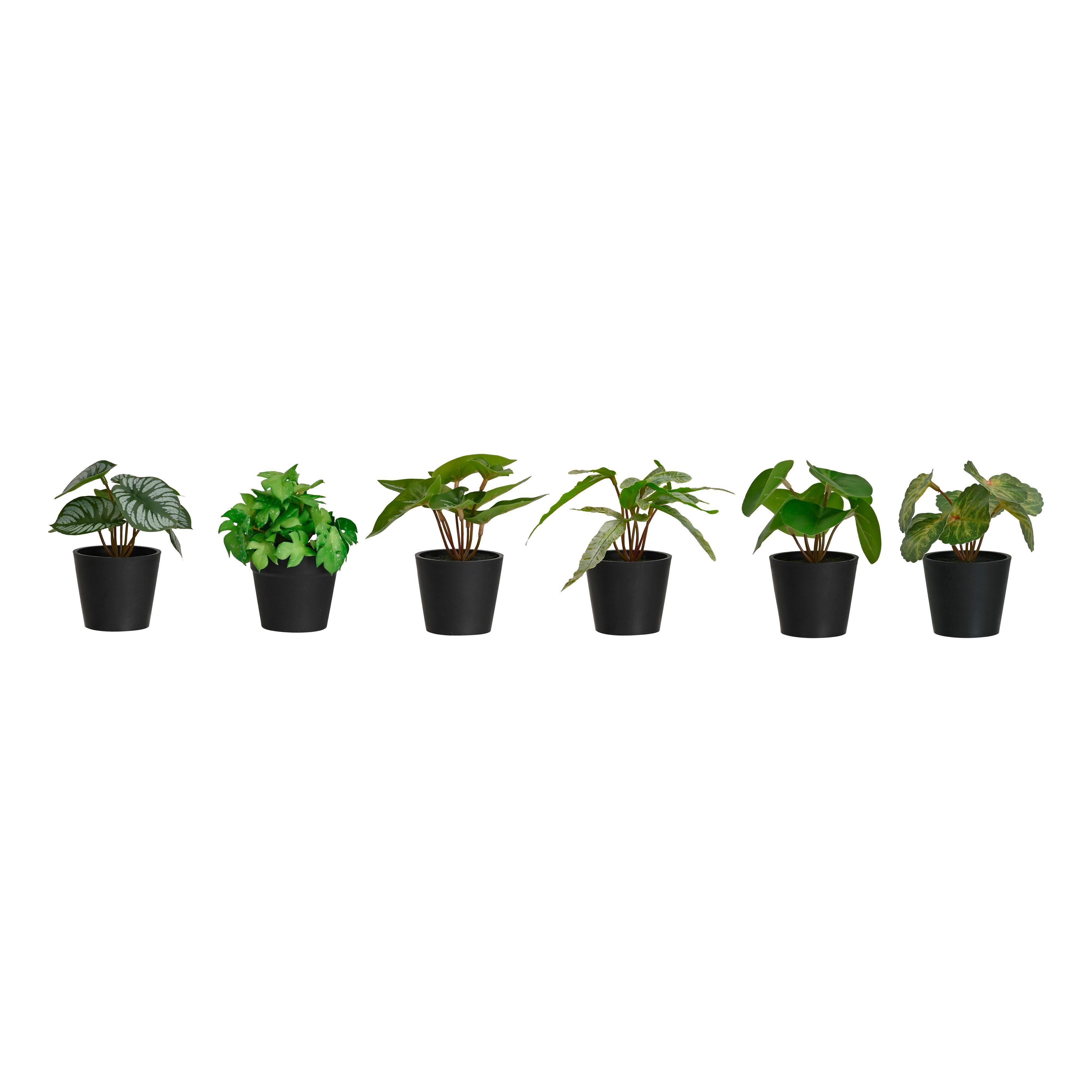 Plantă artificială PFLANZENGESTECK - verde/negru, plastic (7/13cm) - Mömax