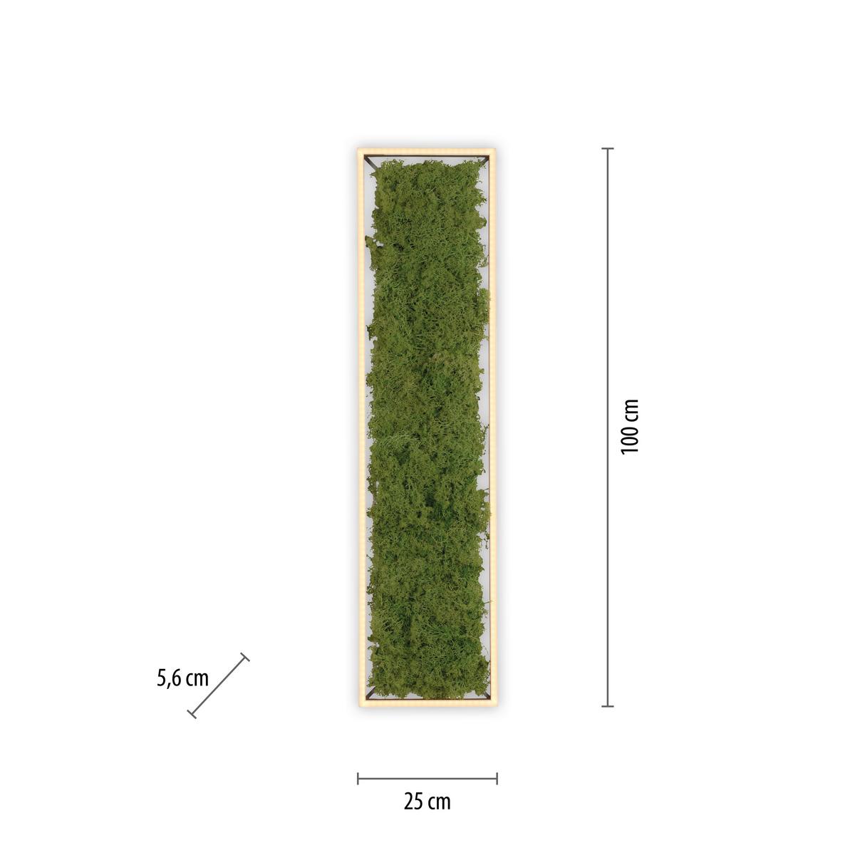 LAMPA SUFITOWA LED 15623-66 KNUT - Natur, tworzywo sztuczne/materiały naturalne (100/25/5,6cm)