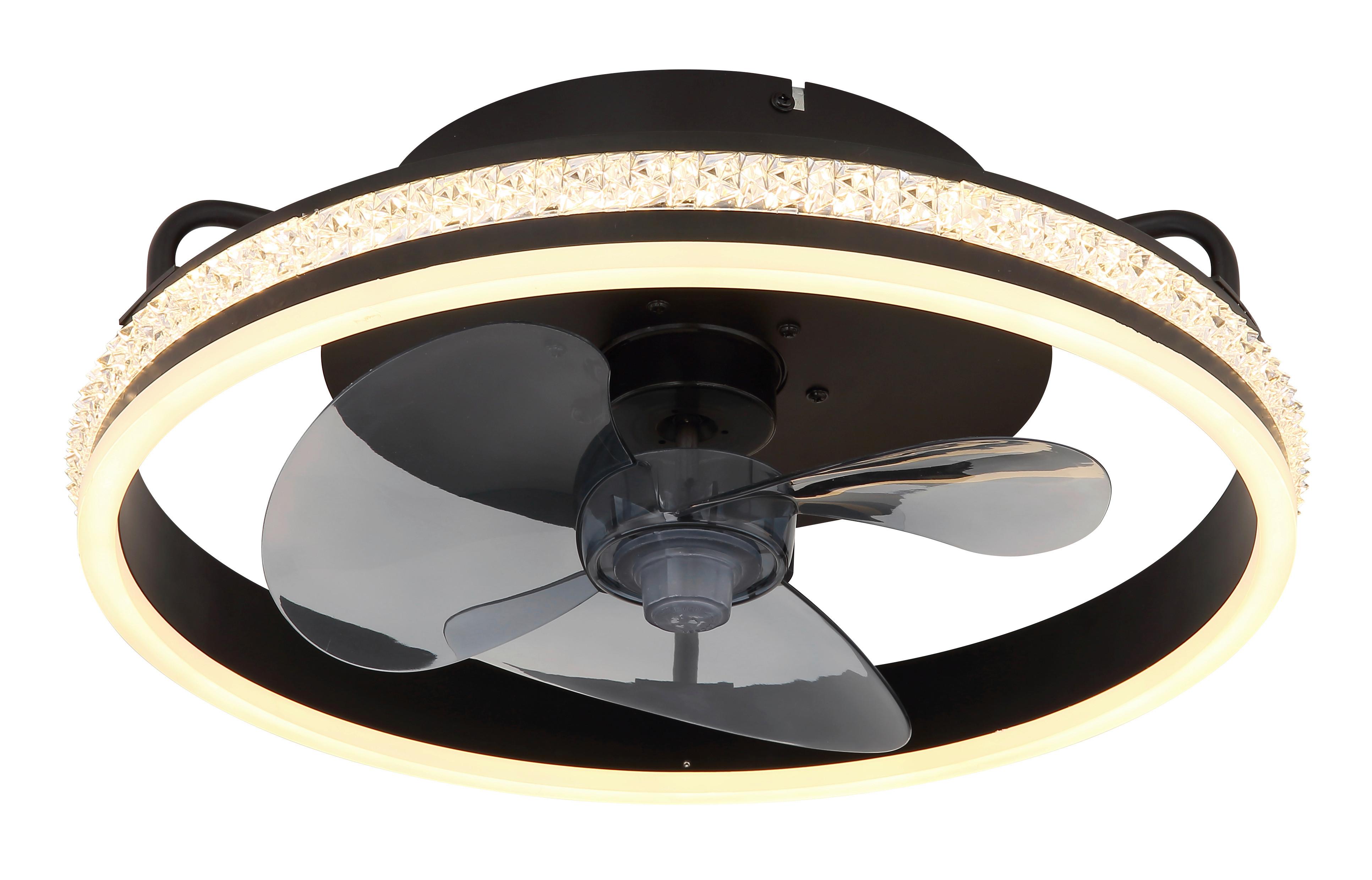 Stropni Ventilator Cataleya - prozirno/crna, Design, metal/plastika (40/14,5cm) - Globo