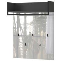 GARDEROBENPANEEL CEDUNA -EXKLUSIV- - Graphitfarben, Modern, Glas/Holzwerkstoff (89/114/30cm) - Premium Living
