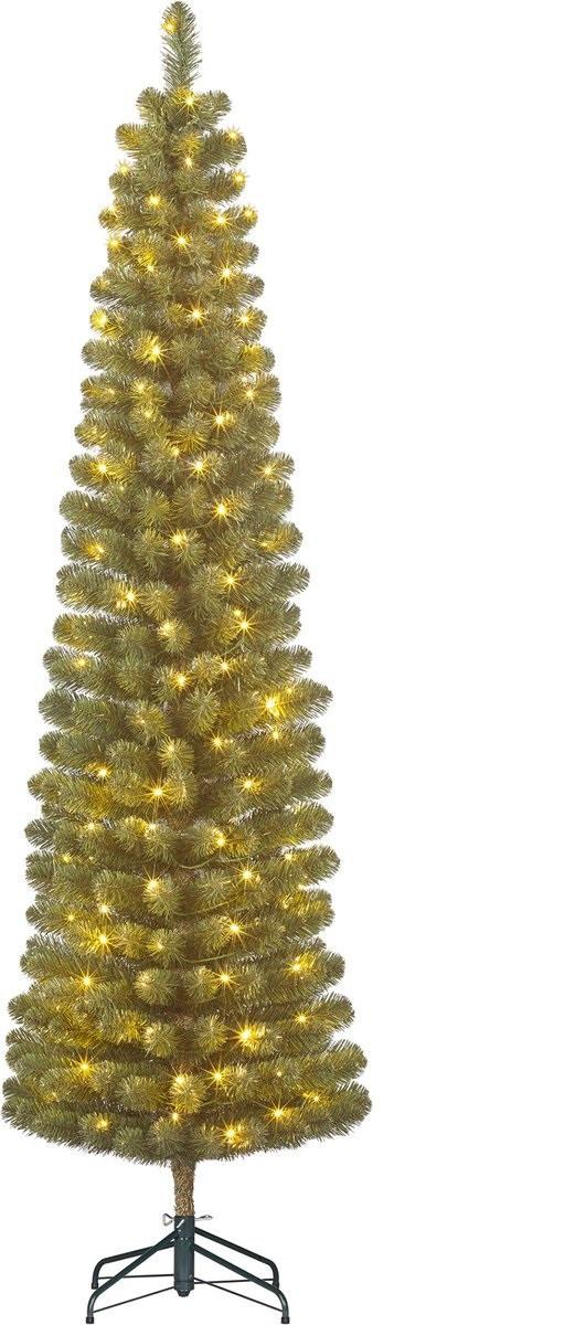Božična Jelka Charlton Pilar 185 Cm - Moderno (53/185cm) - Mömax