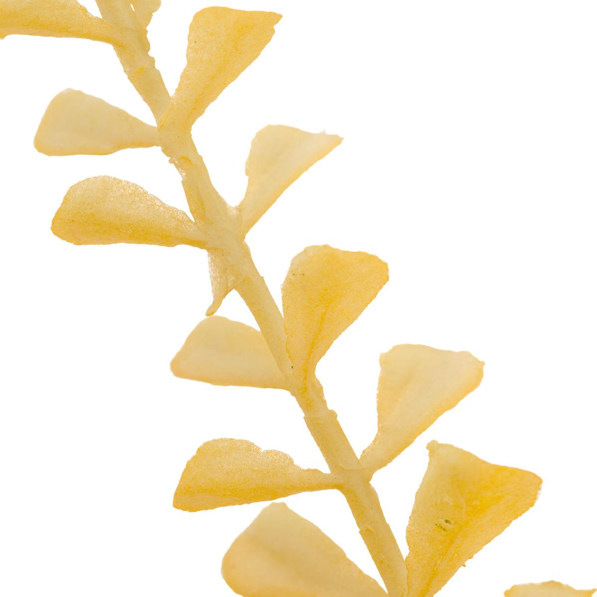 Kunstpflanze Streifenfarnzweig Gelb ca. 78cm - Gelb, Basics, Kunststoff/Metall (78cm) - Mömax