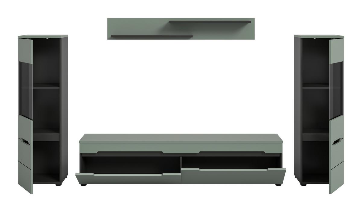 Dnevni Regal Canu, Sivozelena, 4-Delni - črna, Design, umetna masa/leseni material (272/141/33cm) - Livetastic