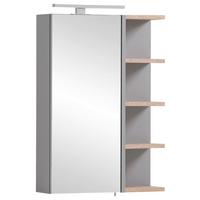 Spiegelschrank Balto Grau 1-türig mit LED - Grau, MODERN, Glas/Holzwerkstoff (50/74,4/16cm) - MID.YOU