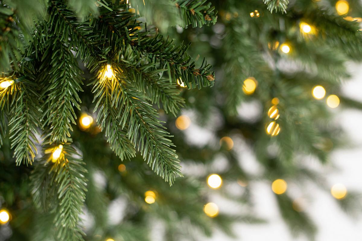 Weihnachtsbaum Evergreen Sherwood Grün H: ca. 210cm - Waldgrün, Basics, Kunststoff (134/210cm)
