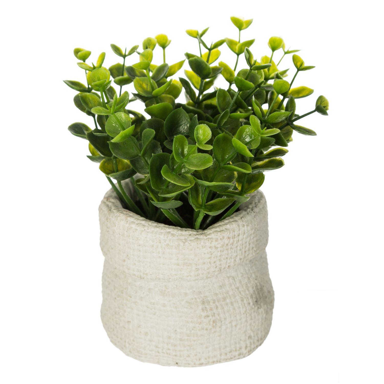 Plantă artificială Cemen cca. 16 cm - Basics (12/16cm)