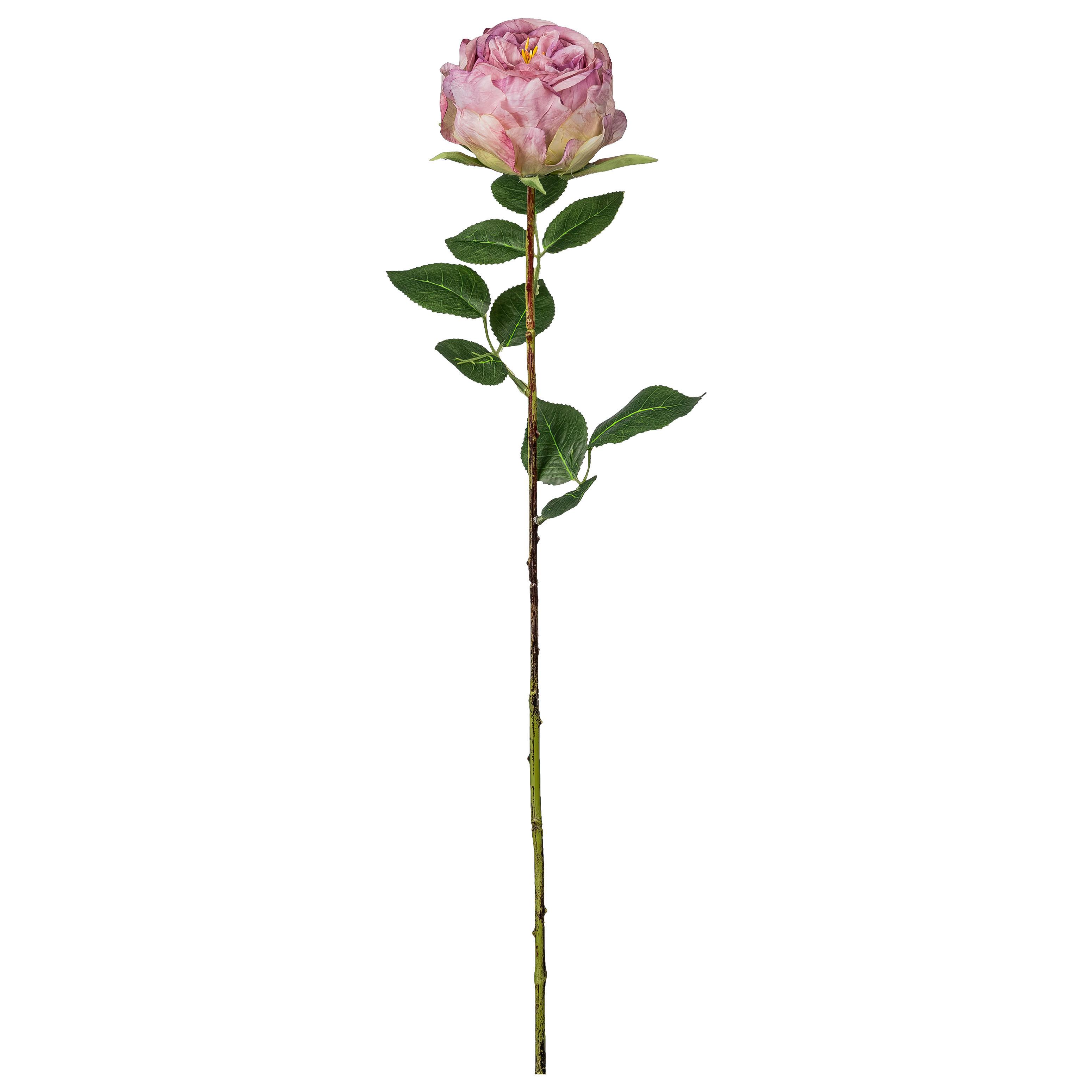 Dekozweig Englische Rose I Lila/Braun - Lila/Braun, Romantik / Landhaus, Kunststoff (63cm) - Mömax