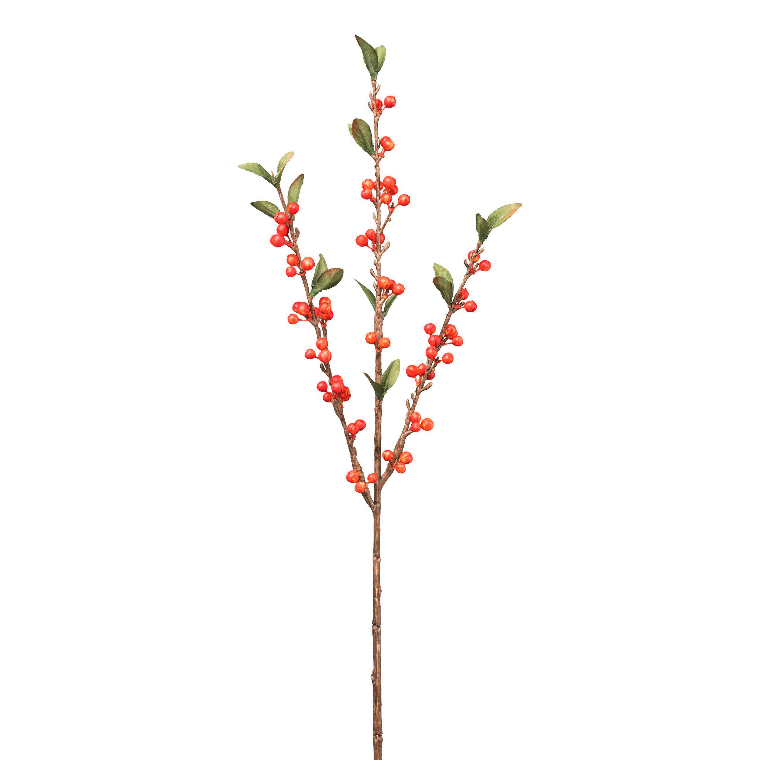 Biljka Umjetna Cranberryzweig I - narančasta/zelena, Basics, plastika (60cm) - Mömax