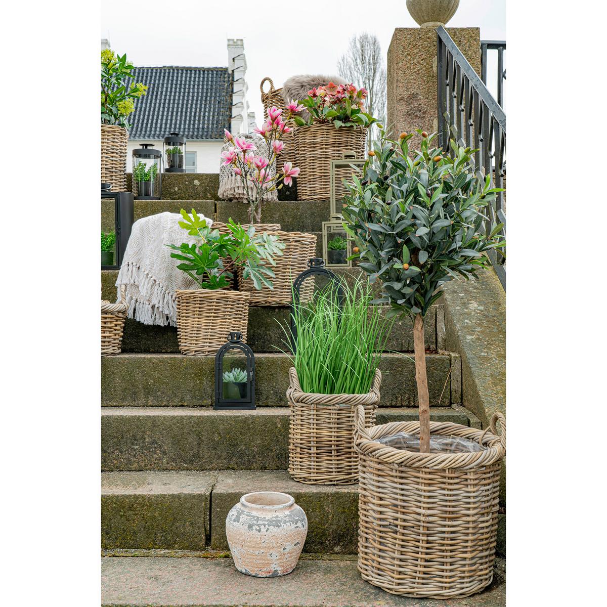 Korbset Gili Basket Braun, 2er Set - Braun, Basics, Holz (40/48/40cm)