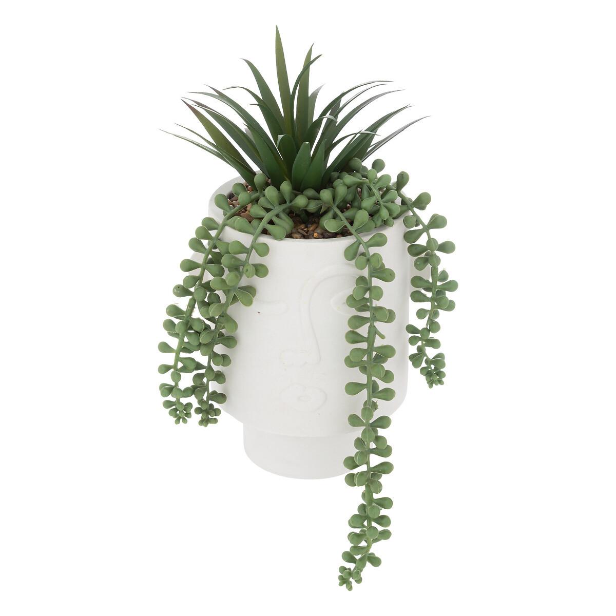 Plantă artificială Face - Konventionell (25cm)