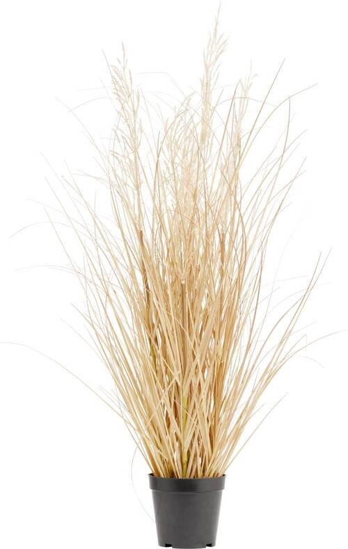 Műnövény Vízipálma - fekete/natúr, Basics, műanyag (89cm) - Modern Living