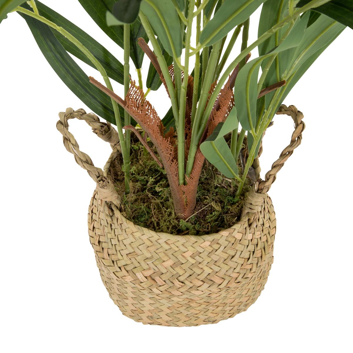 Umetna Rastlina Chamaedorea - svetlo rjava/zelena, Basics, umetna masa/tekstil (50/65/50cm) - MID.YOU