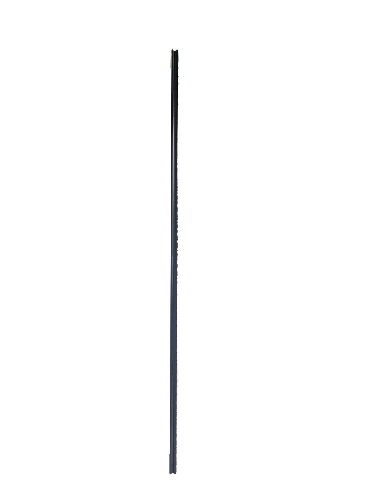 Stensko Ogledalo Sonja - srebrne barve/črna, Moderno, steklo/les (100/200cm) - Premium Living