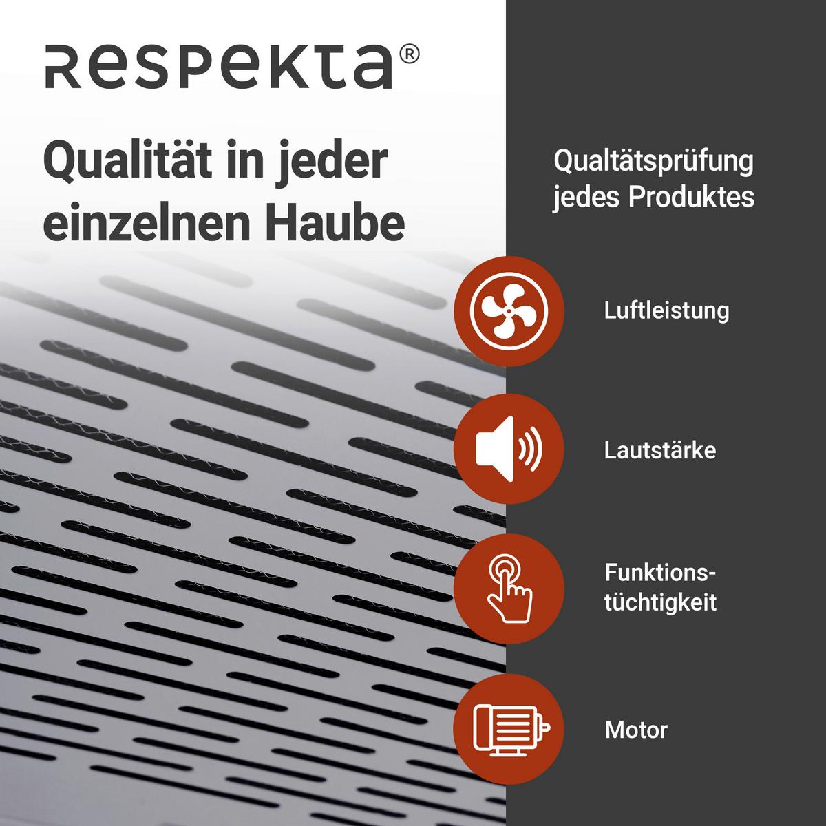 Dunstabzugshaube Suna ca. 50/7,6/47 cm Edelstahlfarben - Edelstahlfarben, Trend, Metall (50/7,6/47cm) - Respekta