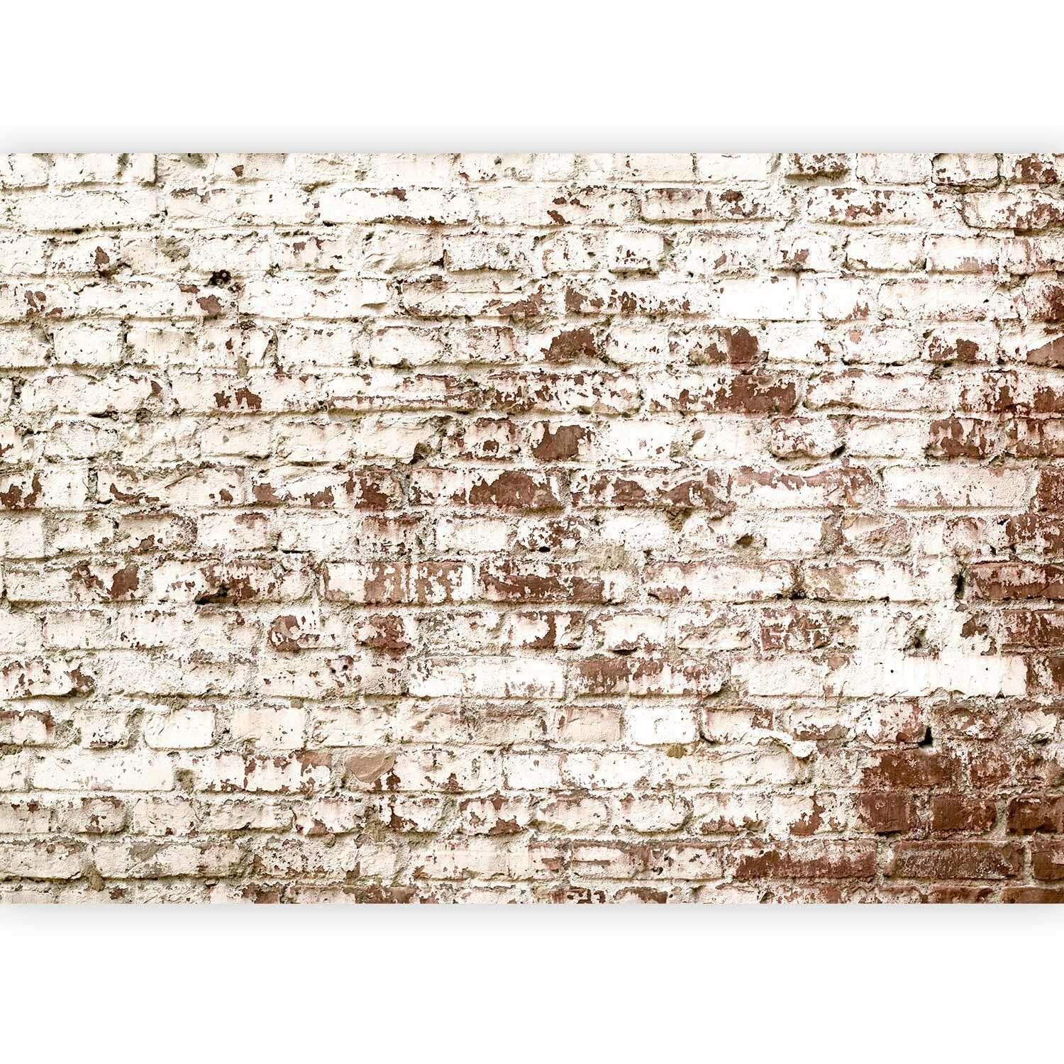 Fotótapéta Hde-Ft1487 - bézs/barna, Lifestyle, textil (400/280cm) - artgeist