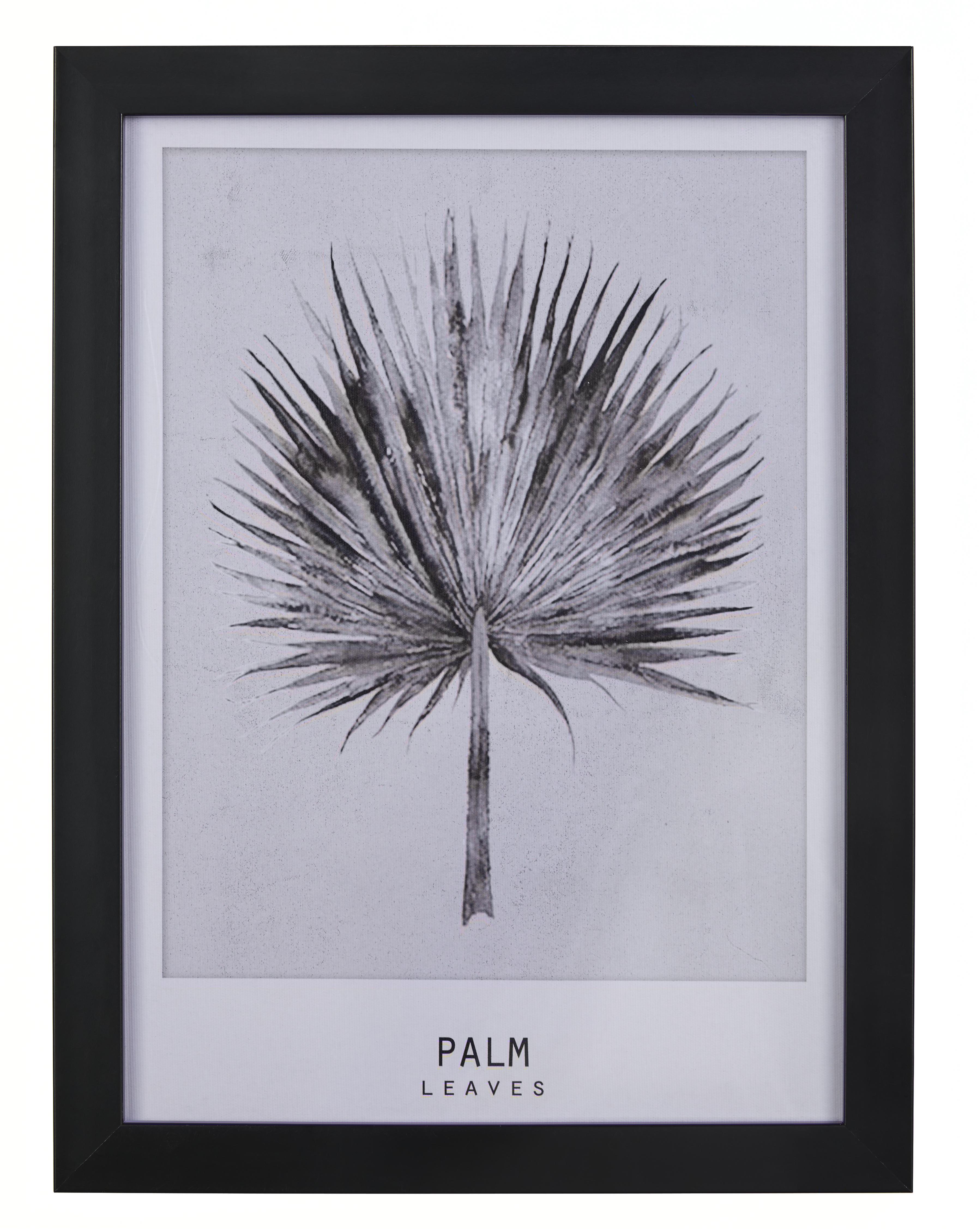 Bild Palm Grau/Schwarz ca.30x40x1,7cm - Schwarz/Grau, MODERN, Kunststoff (30/40/1,7cm) - Bessagi Home