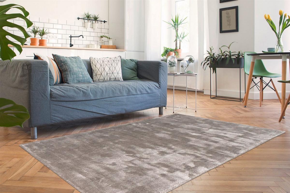 TEPPICH VILLAGE 125 SILBER - Silberfarben, Konventionell, Textil (200/290cm) - Kayoom