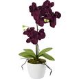 Plantă Artificială Orchidee - lila/roz aprins, plastic/metal (11/60cm) - Modern Living Plantă Artificială Orchidee - lila/roz aprins, plastic/metal (11/60cm) - Modern Living