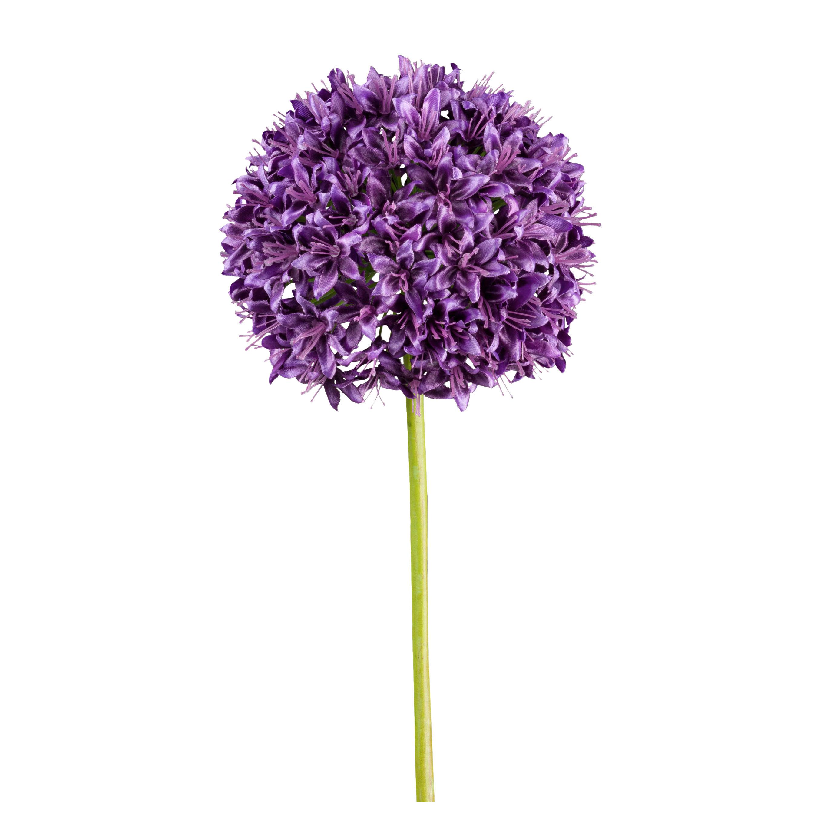 Allium II Grün/Lila ca. 89cm - Lila/Grün, Basics, Kunststoff/Metall (89cm)