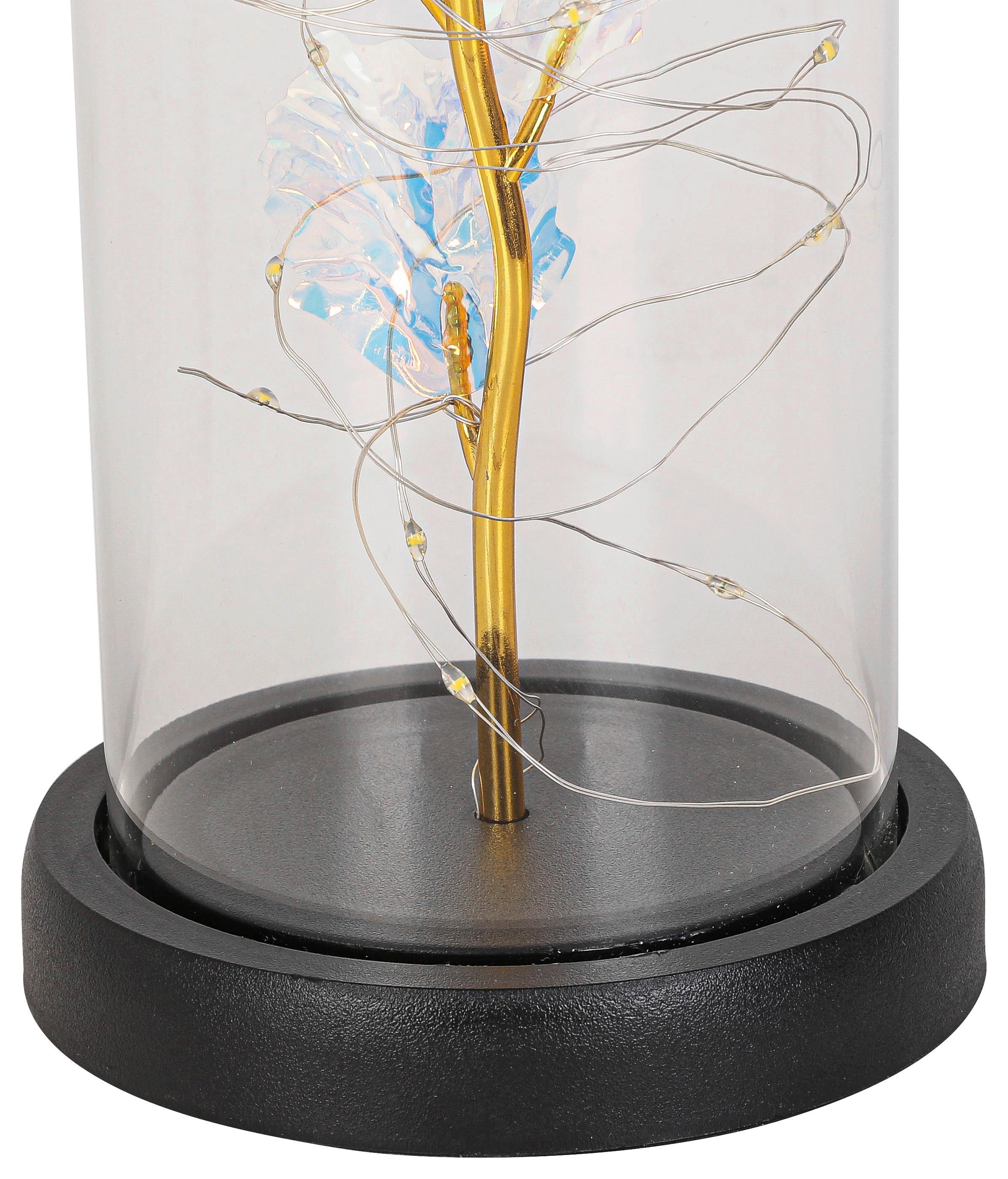 LED-DEKORATIONSLAMPA FLOWI - svart/transparent, Modern, plast (11/21cm) - Mömax
