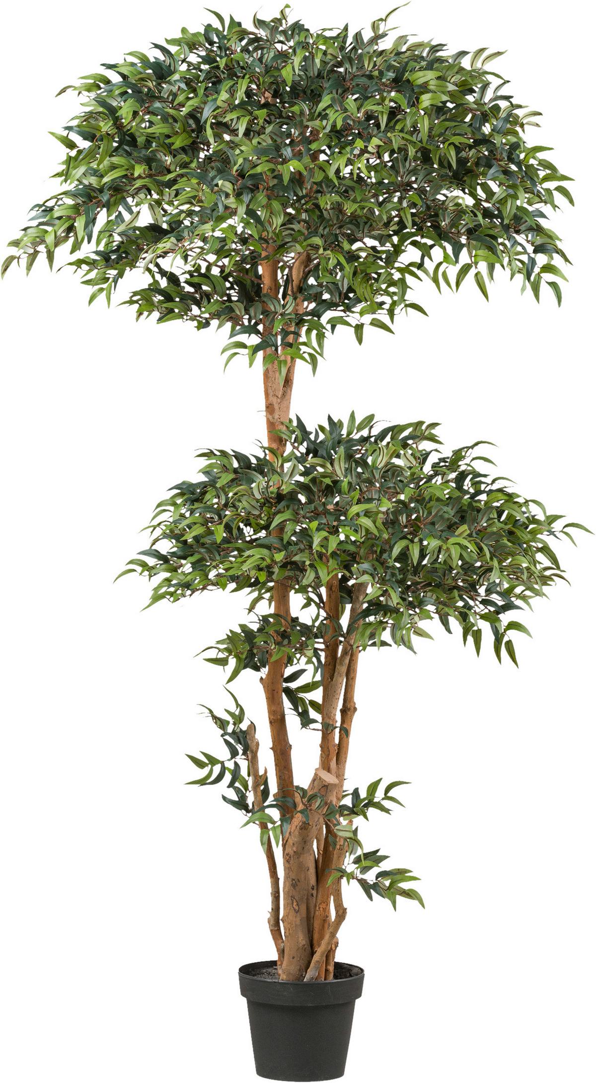 Kunstpflanze Grünpflanzen Grün/Schwarz ca. 170cm - Schwarz/Braun, Design, Kunststoff (170cm) - P & B