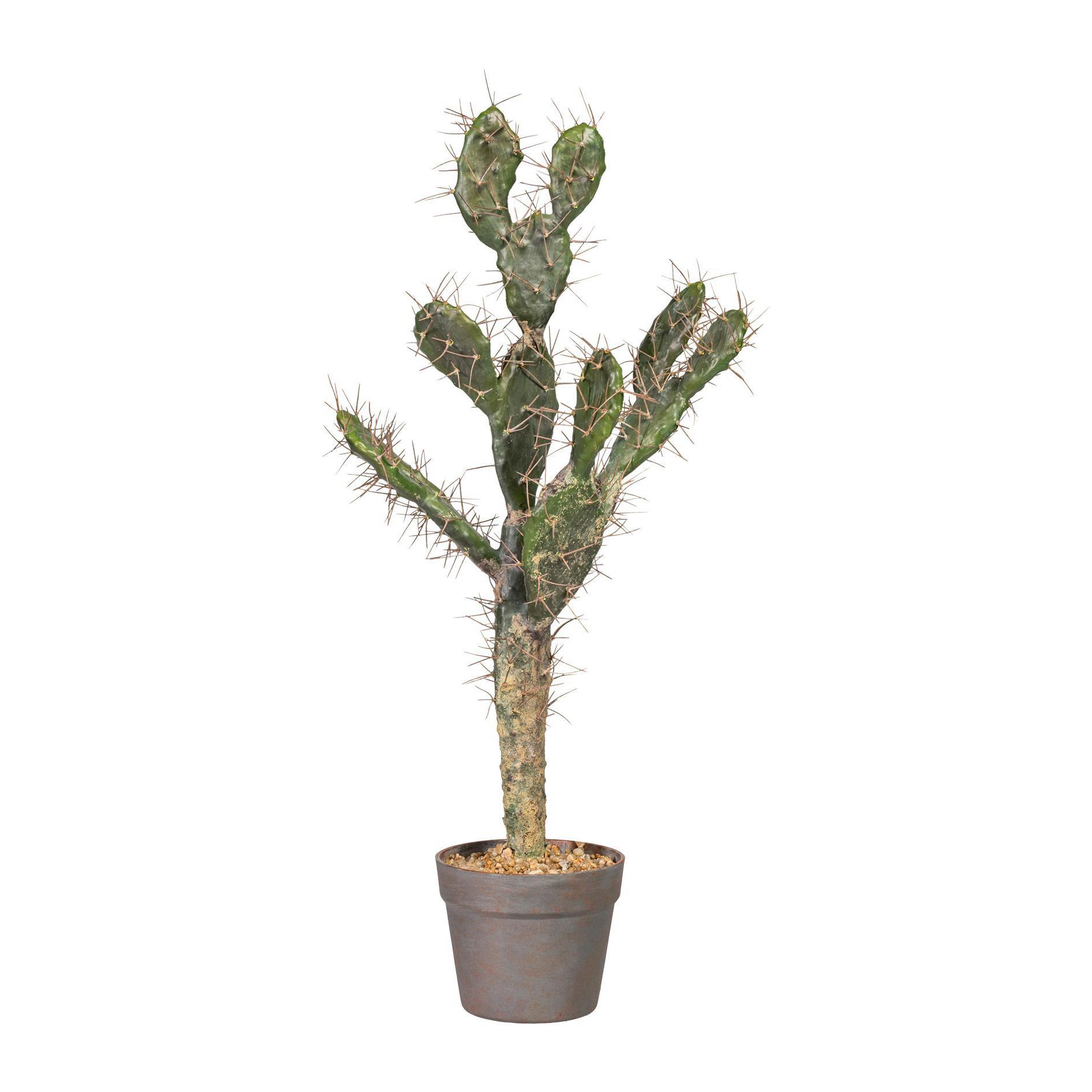 Kunstkaktus in Dunkelgrün im Topf H ca. 73 cm - Dunkelgrün, Basics, Kunststoff (73cm)