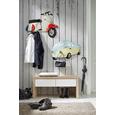 Wandgarderobe in Bunt - Multicolor, LIFESTYLE, Metall (67/42/8cm)