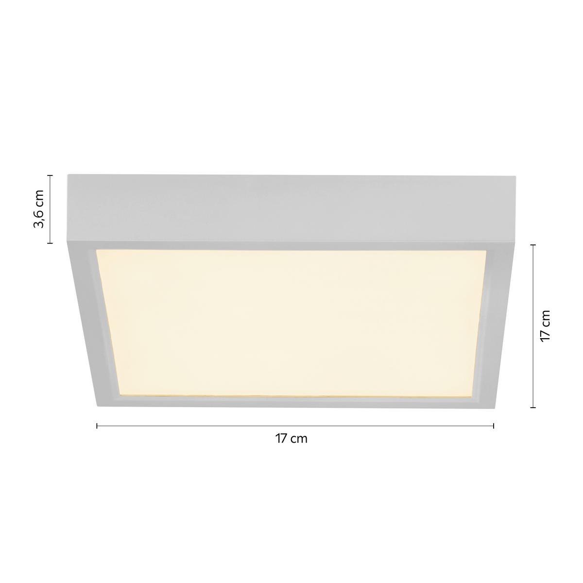 Plafonieră cu LED Fridolin 2 - argintiu, Romantik / Landhaus, plastic (17/17/3,6cm) - Modern Living