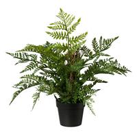 Okrasna Rastlina Farn I - zelena, Basics, umetna masa (35cm) - Modern Living